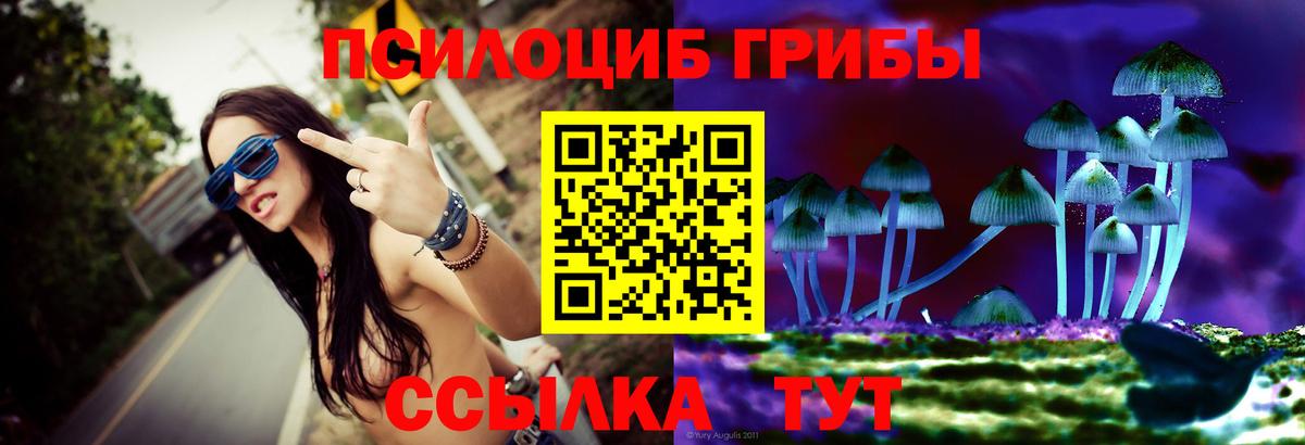 Псилоцибиновые грибы мухоморы  Вход с VPN  купить закладку  Курчатов 